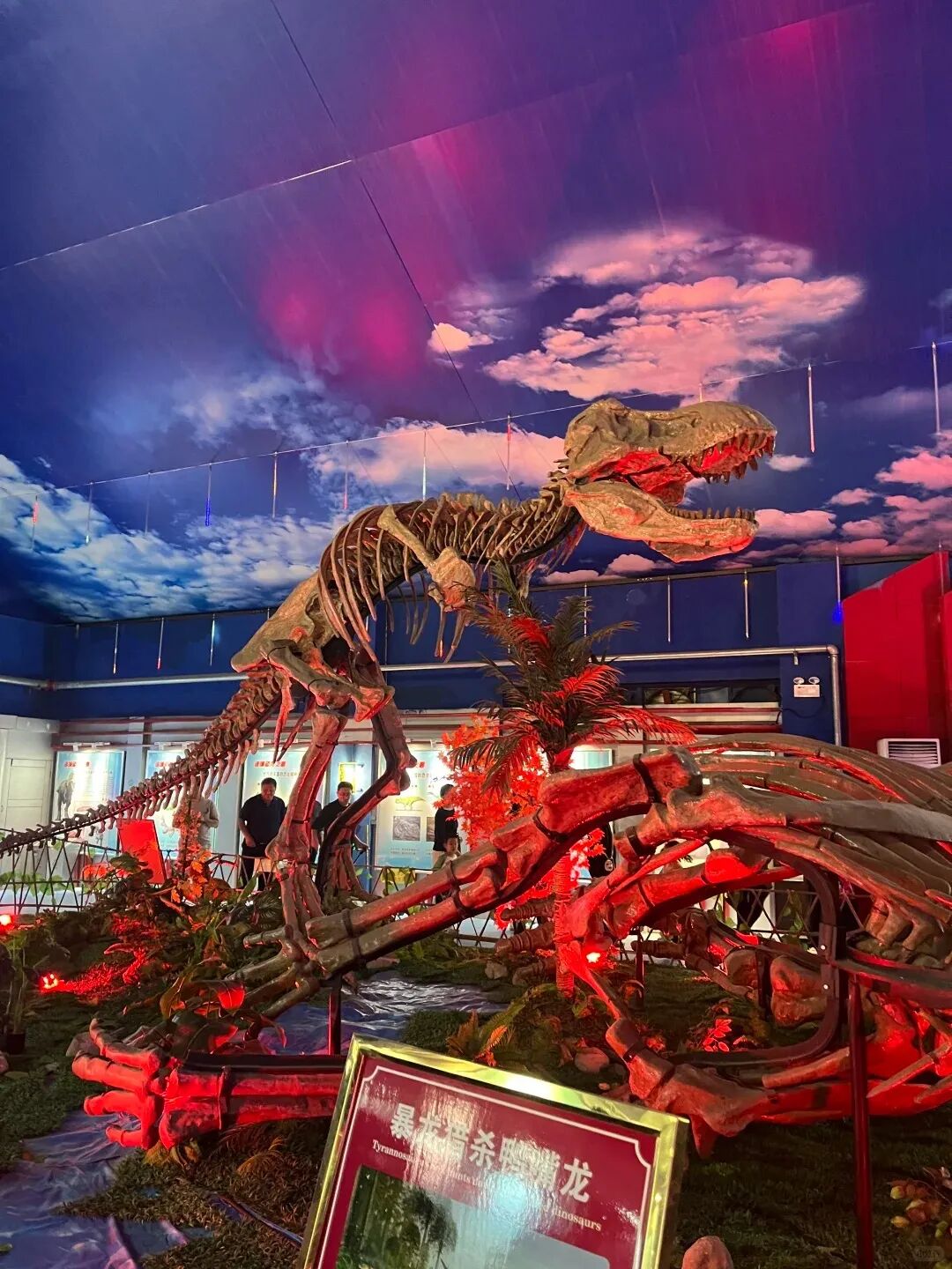 国~庆~你~来~潍~坊~吗~?(图3)