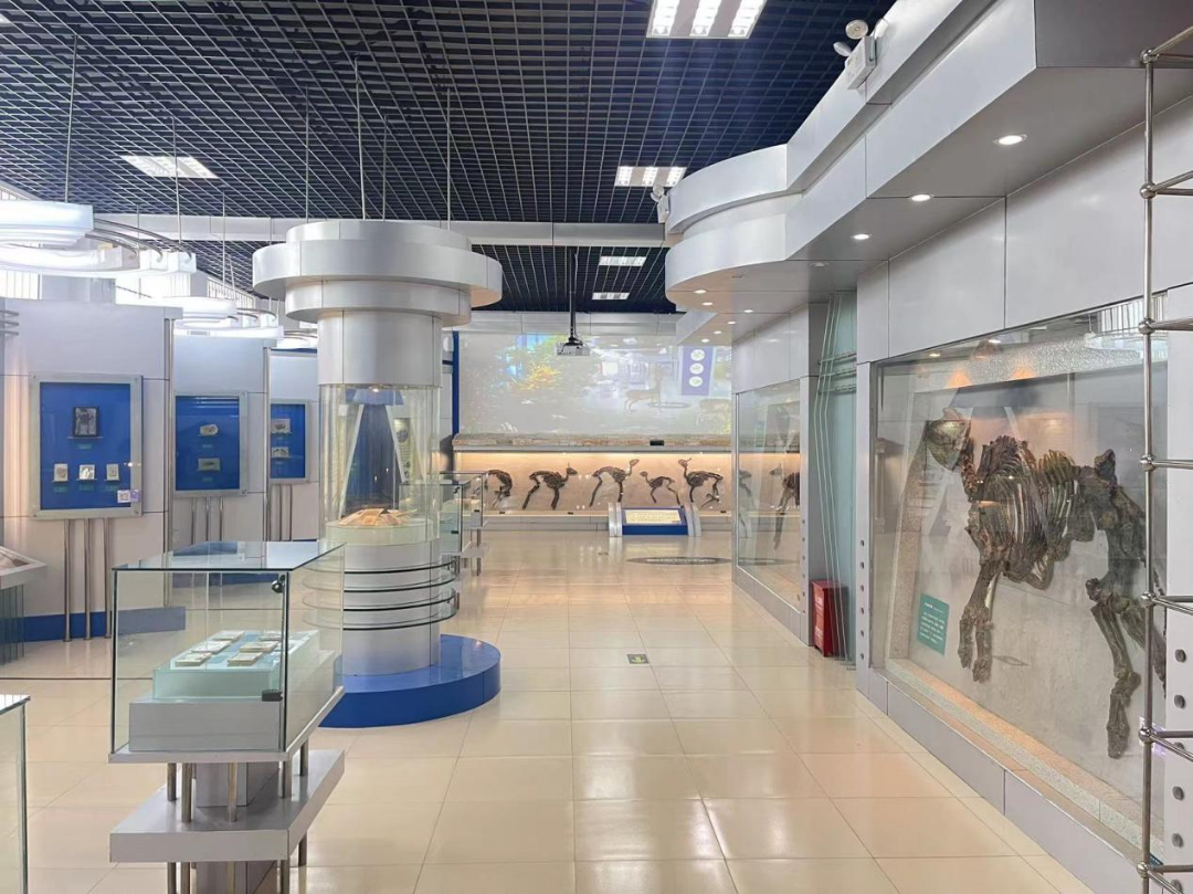 国~庆~你~来~潍~坊~吗~?(图4)