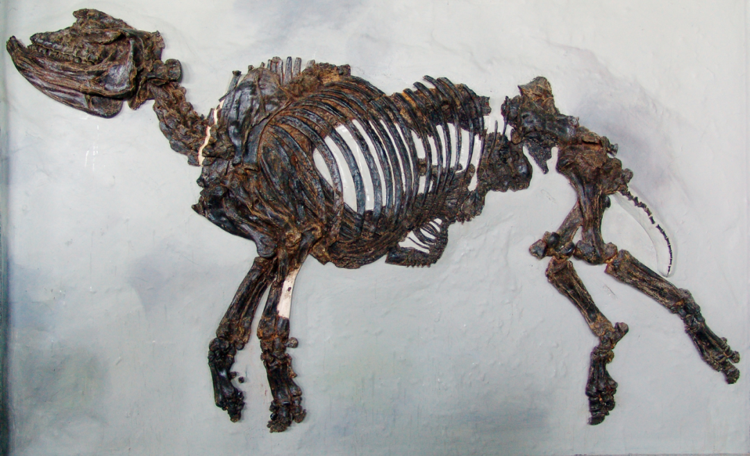 国~庆~你~来~潍~坊~吗~?(图5)