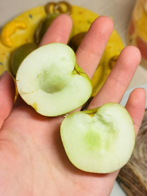 “一枣一世界”—一颗冬枣的全球视野(图4)