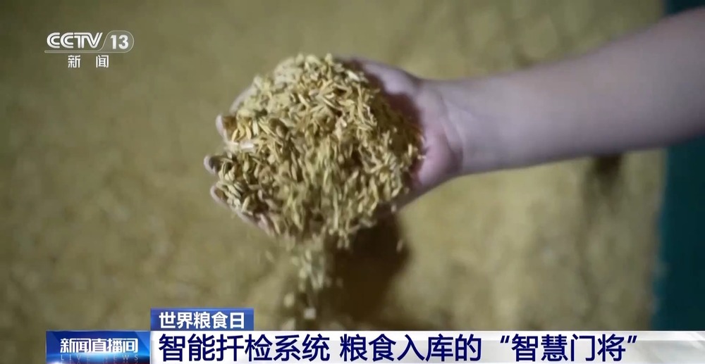 小碗带芯片、粮仓像“冰箱”看中国如何守住每一粒米(图13)