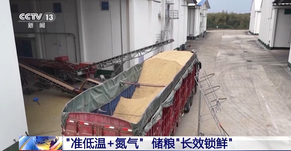 小碗带芯片、粮仓像“冰箱”看中国如何守住每一粒米(图15)