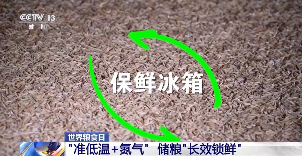小碗带芯片、粮仓像“冰箱”看中国如何守住每一粒米(图14)