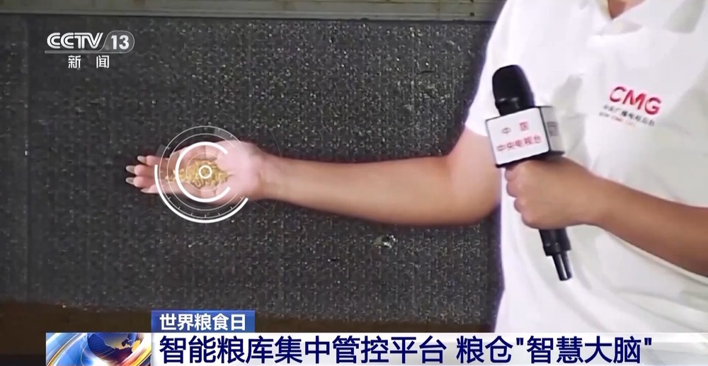 小碗带芯片、粮仓像“冰箱”看中国如何守住每一粒米(图18)