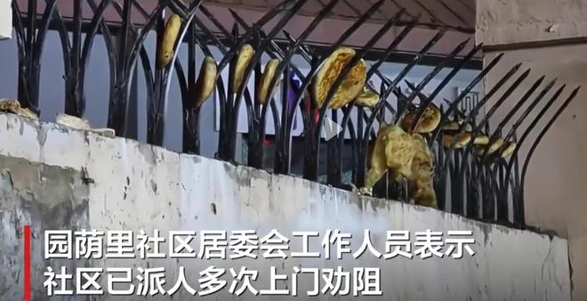 天津一小区围墙防盗刺插满烧饼馒头居民:大爷捡回来晾晒卖钱(图3)