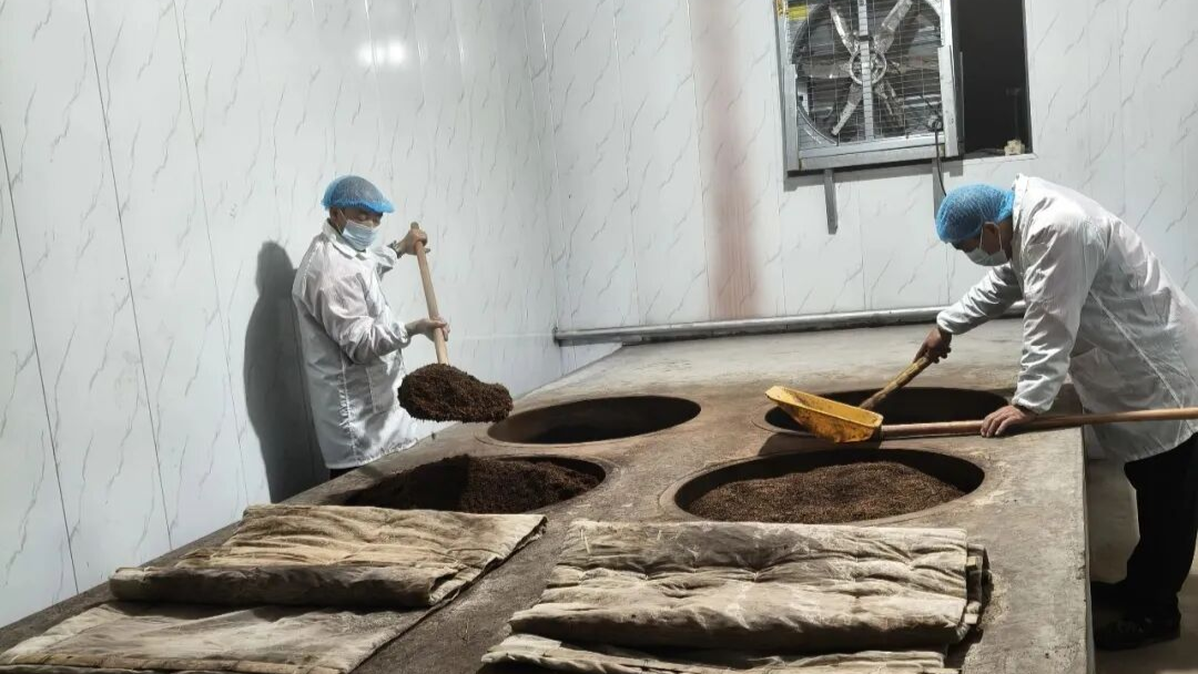 甘肃正宁：农产焕新赋能乡村振兴(图2)