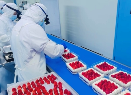 七鲜草莓盒子蛋糕重磅回归！定义今冬甜品新潮流(图5)