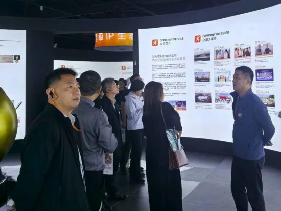 亳州市谯城区参加民间文艺版权保护与促进国际研讨会(图2)