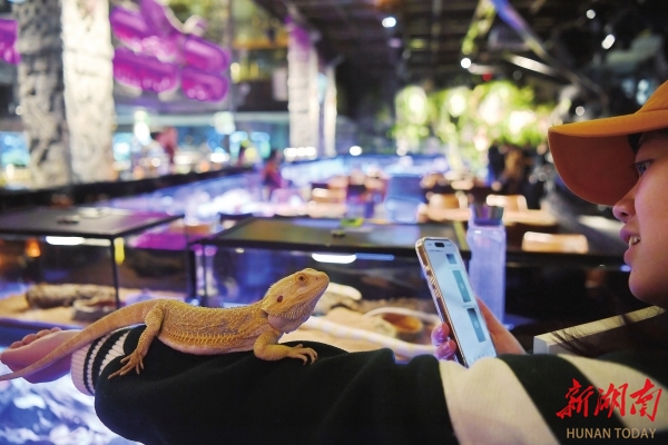 湘涌新潮丨顶流夜经济长沙何以炼成(图2)