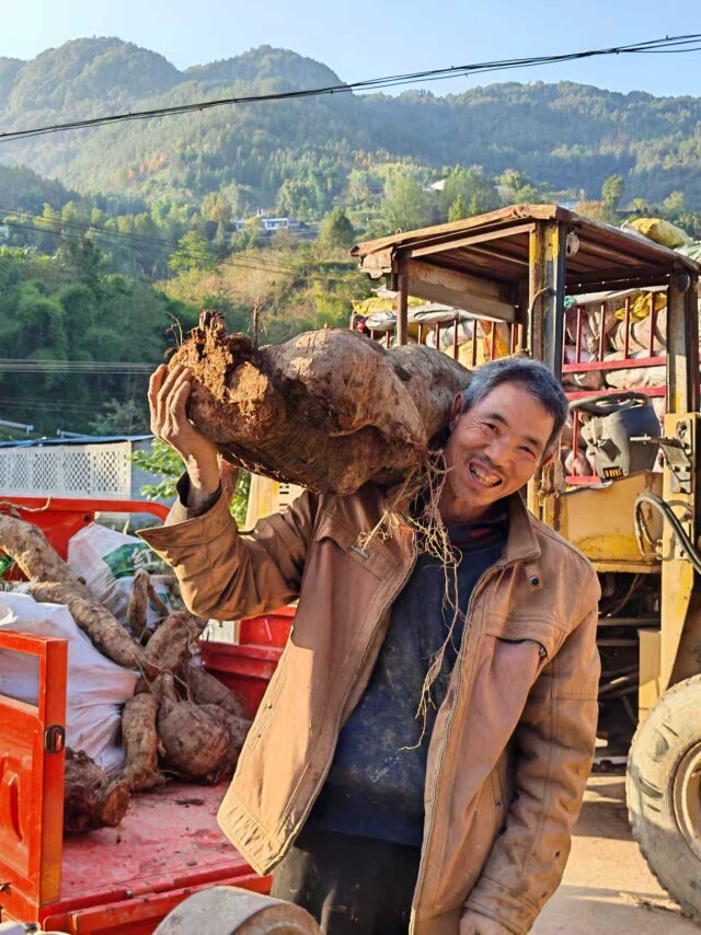 湘西深山“土宝贝”撬动新消费市场(图3)