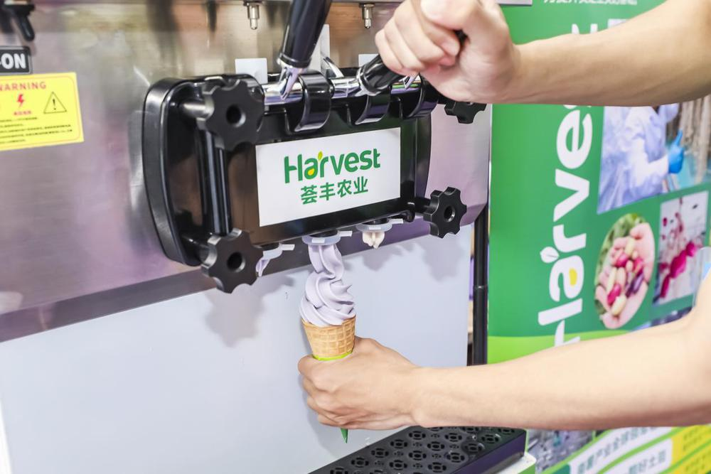 薯薯我啊广东能排第二|广东有“种”(图3)