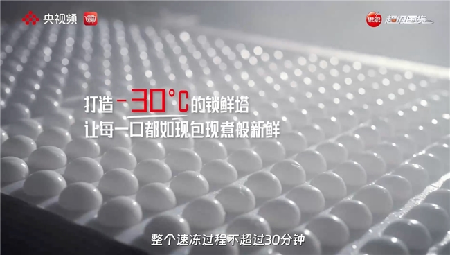 央视探厂思念食品:300亿颗汤圆背后的护城河(图5)