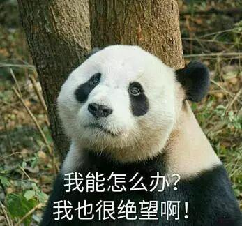 40+姐姐吃甜品、喝酒、外食但真的瘦了!(图3)