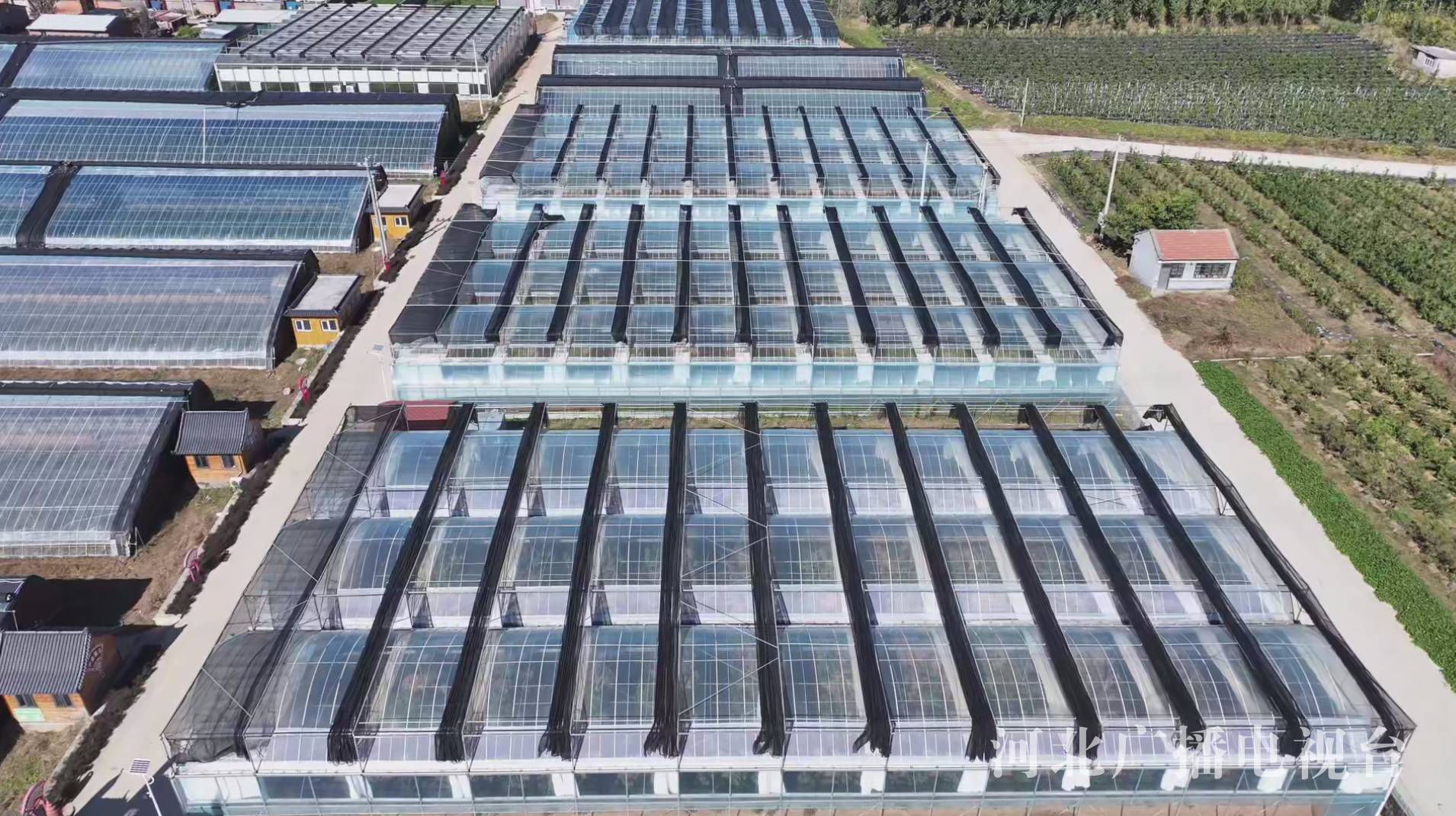 河北：绘就各民族共同繁荣发展的时代画卷(图3)