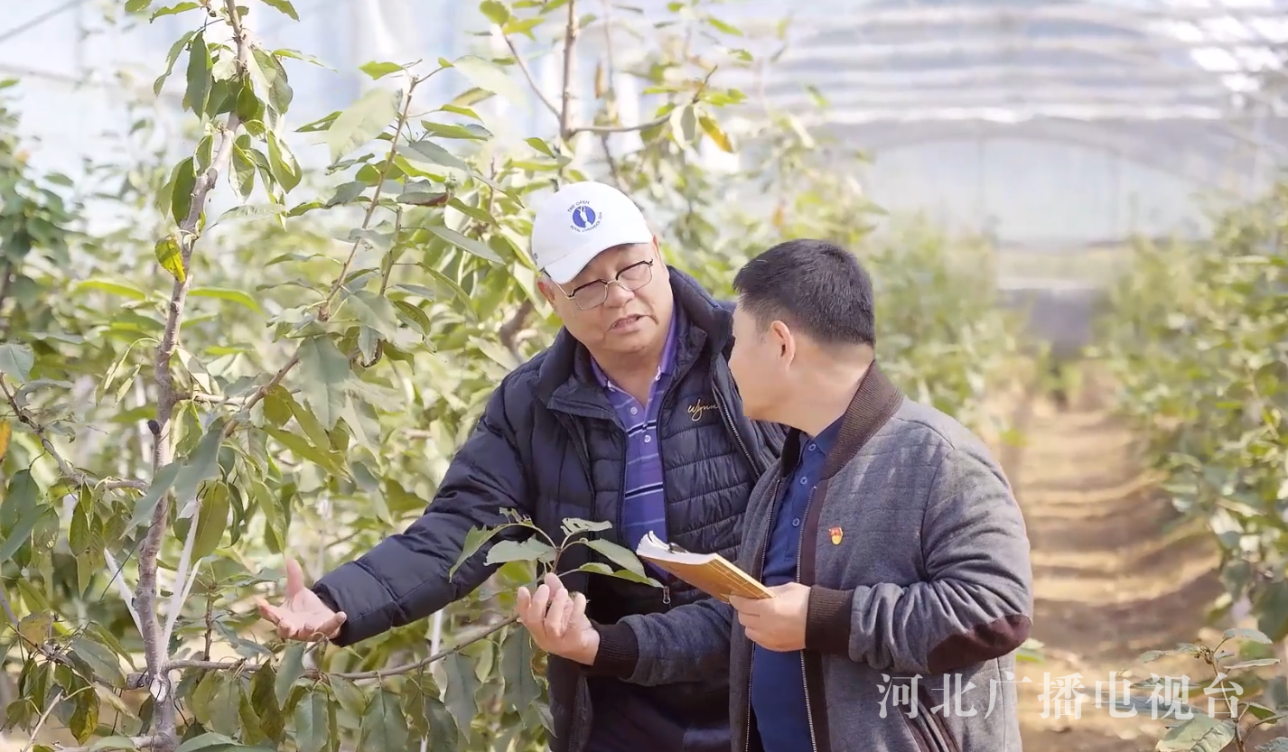 河北：绘就各民族共同繁荣发展的时代画卷(图5)