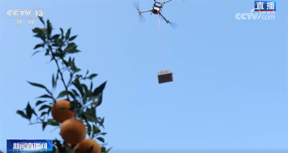 “小果子”撬动大产业托起群众“甜蜜”生活消费新变化、新趋势激发新活力(图3)