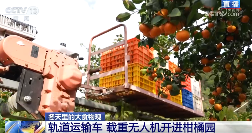 “小果子”撬动大产业托起群众“甜蜜”生活消费新变化、新趋势激发新活力(图4)