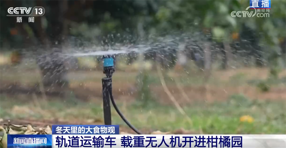 “小果子”撬动大产业托起群众“甜蜜”生活消费新变化、新趋势激发新活力(图5)