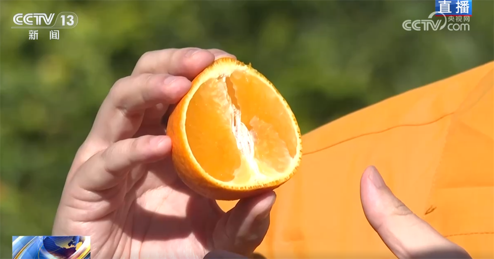 “小果子”撬动大产业托起群众“甜蜜”生活消费新变化、新趋势激发新活力(图6)