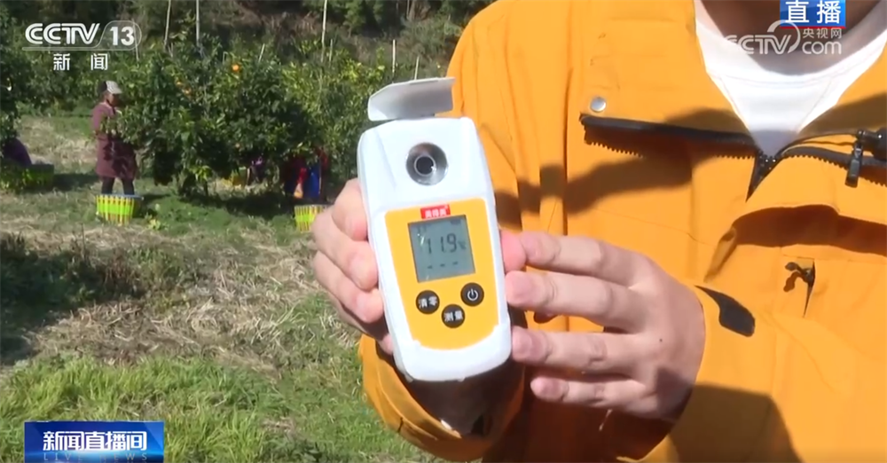 “小果子”撬动大产业托起群众“甜蜜”生活消费新变化、新趋势激发新活力(图7)