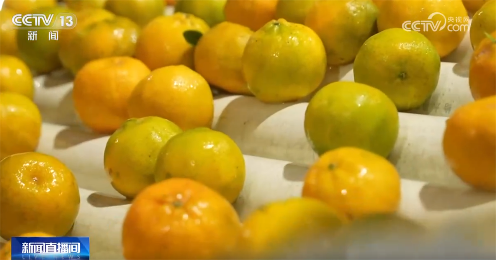 “小果子”撬动大产业托起群众“甜蜜”生活消费新变化、新趋势激发新活力(图9)