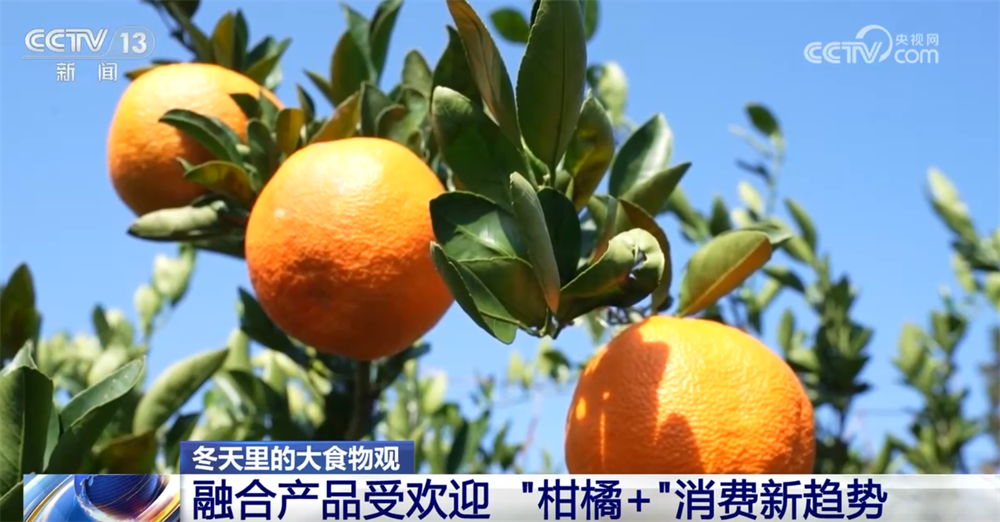 “小果子”撬动大产业托起群众“甜蜜”生活消费新变化、新趋势激发新活力(图14)