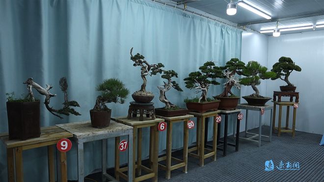 乡村“智”变丨村民捧稳“智能碗”田垄间蹚出致富路(图2)