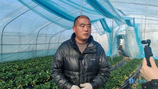 乡村“智”变丨村民捧稳“智能碗”田垄间蹚出致富路(图6)