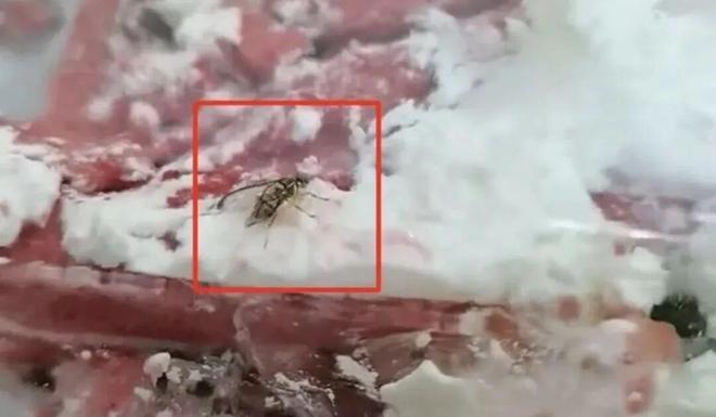 鸣哥说事：盐城格思蛋糕吃出活虫！监控能不能查个明白？(图2)