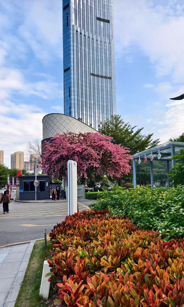 女婿好不好看这5个细节中2条全家偷着乐(图3)