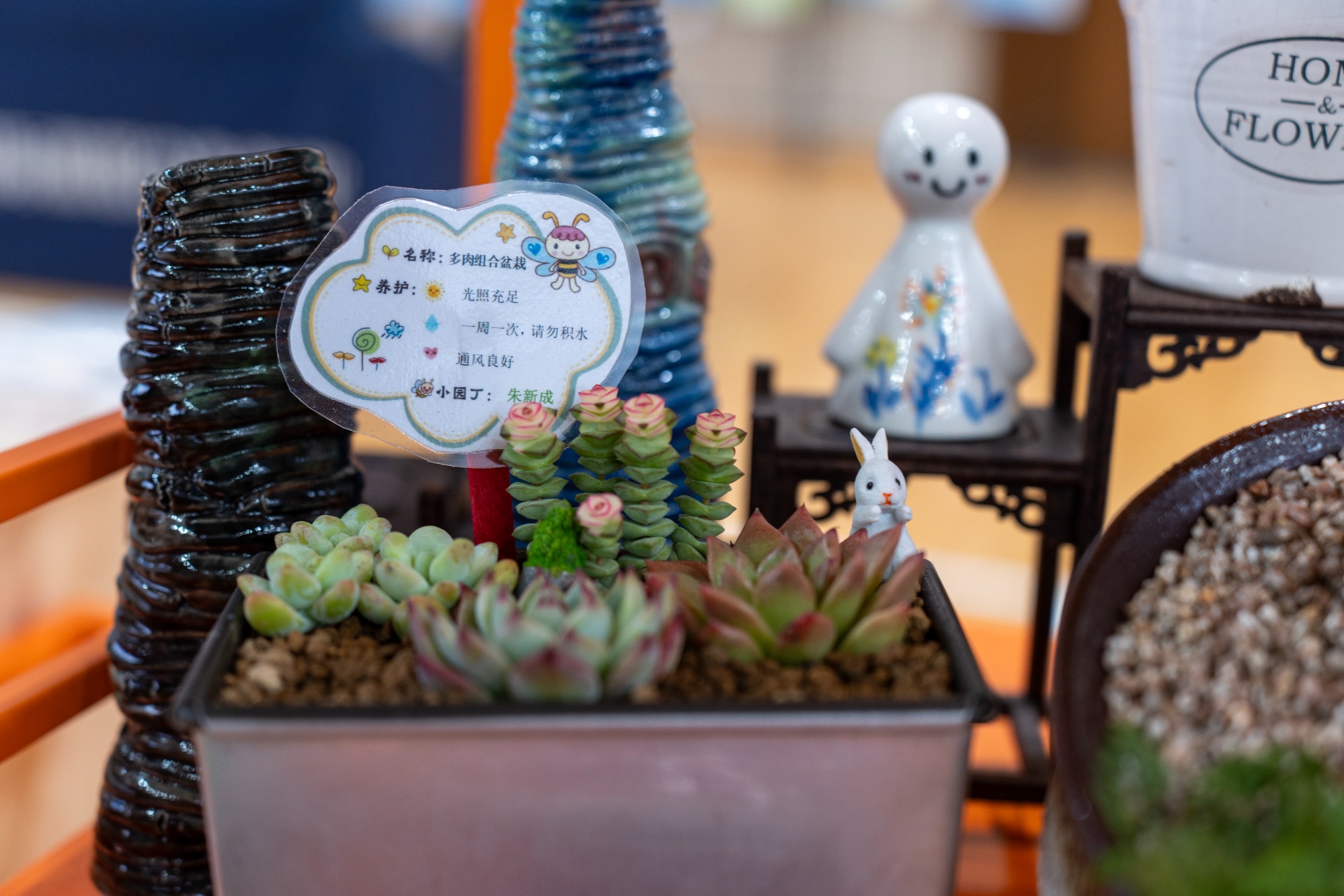 新年新篇:天山学子在宁波“匠心”滋养下绽放别样花朵(图3)