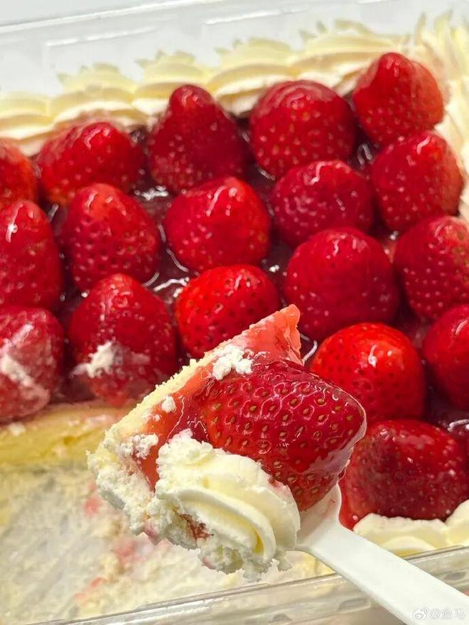 又一网红烘焙品牌宣布破产了(图14)