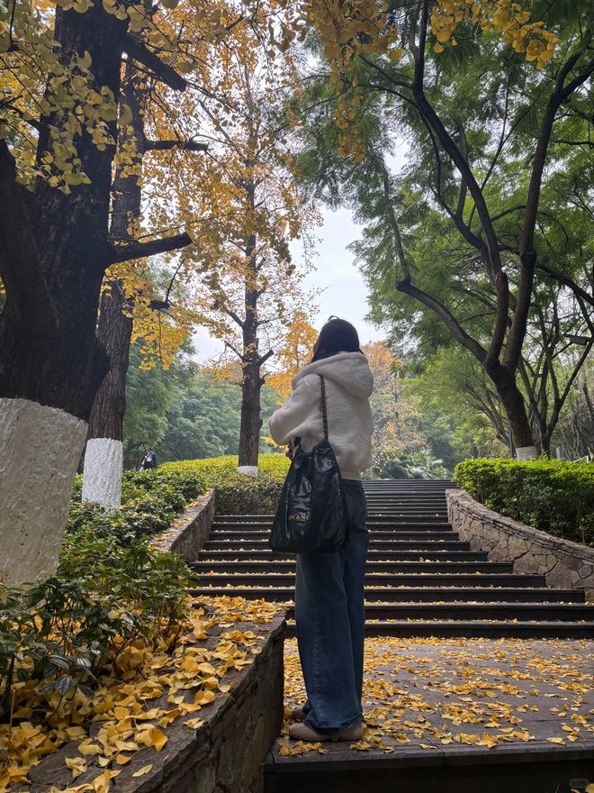 一家三口春节游重庆3天大概花多少钱?亲子友好型花费指南(图1)