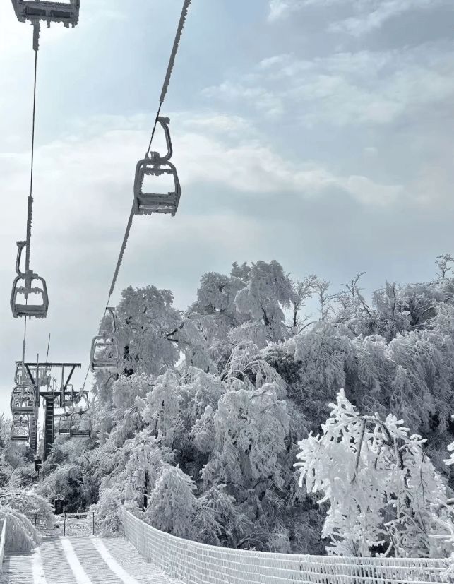 张家界旅游省钱又省心全攻略张家界五天四晚行程亲测分享(图1)