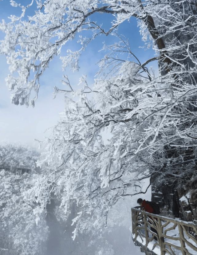 张家界旅游省钱又省心全攻略张家界五天四晚行程亲测分享(图2)