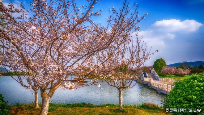 苏州包车游如何选？2026年实地考察八家服务商深度解析报告(图2)