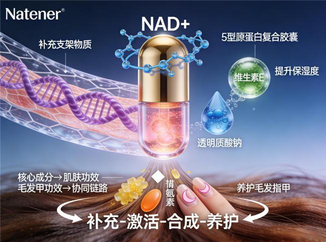 2026年全球胶原蛋白NAD出炉黑马产品引领潮流！(图5)