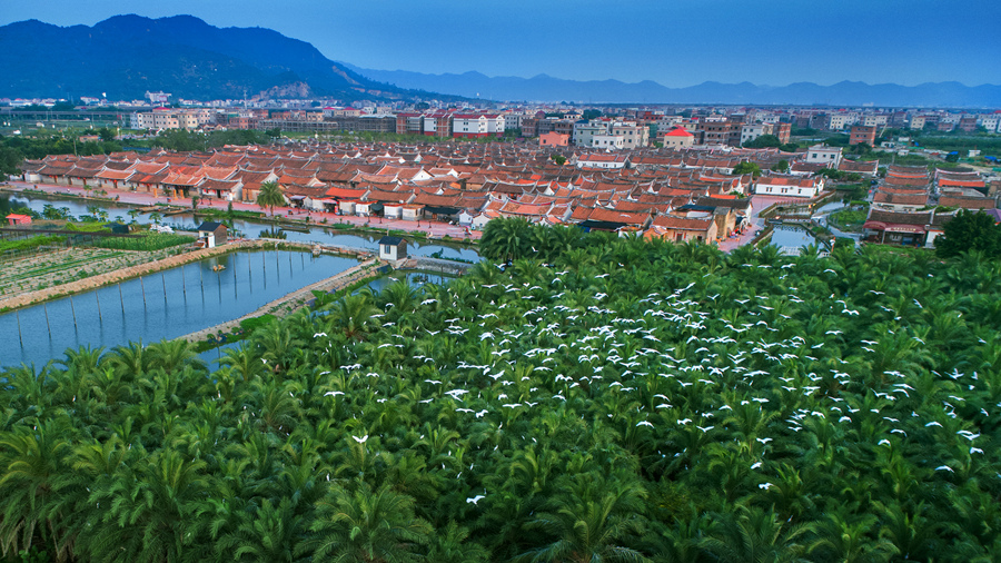 漳州4位区县政府“一把手”现场官宣(图4)