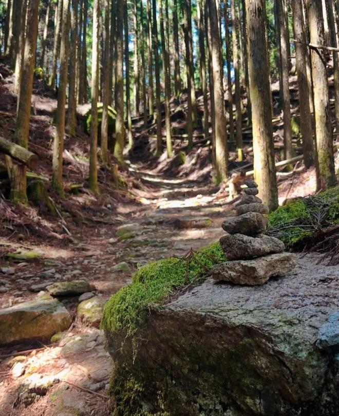 徒步千年朝圣之路寻访鉴真建造古寺在关西世界遗产之地开启心灵之旅！(图6)