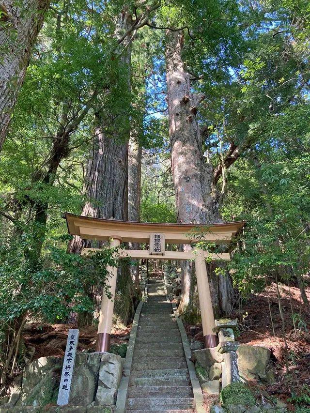 徒步千年朝圣之路寻访鉴真建造古寺在关西世界遗产之地开启心灵之旅！(图9)