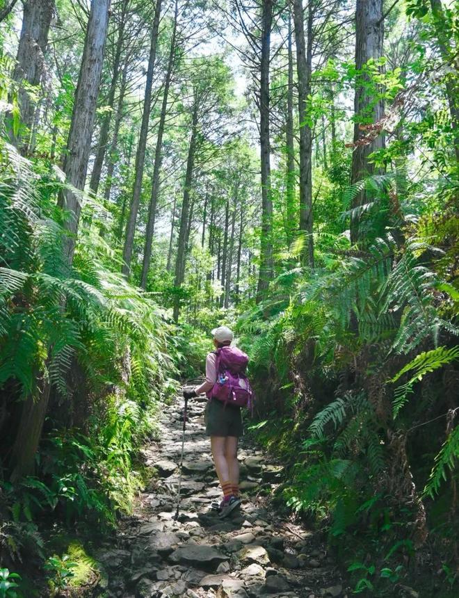 徒步千年朝圣之路寻访鉴真建造古寺在关西世界遗产之地开启心灵之旅！(图7)