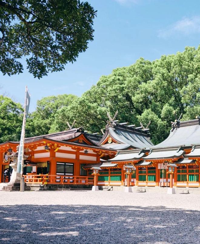 徒步千年朝圣之路寻访鉴真建造古寺在关西世界遗产之地开启心灵之旅！(图1)