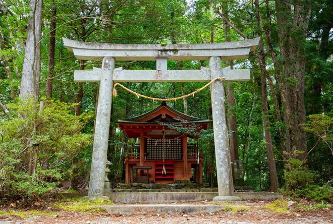 徒步千年朝圣之路寻访鉴真建造古寺在关西世界遗产之地开启心灵之旅！(图15)