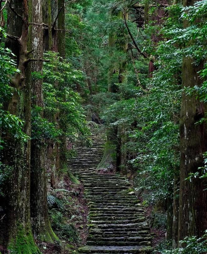 徒步千年朝圣之路寻访鉴真建造古寺在关西世界遗产之地开启心灵之旅！(图10)