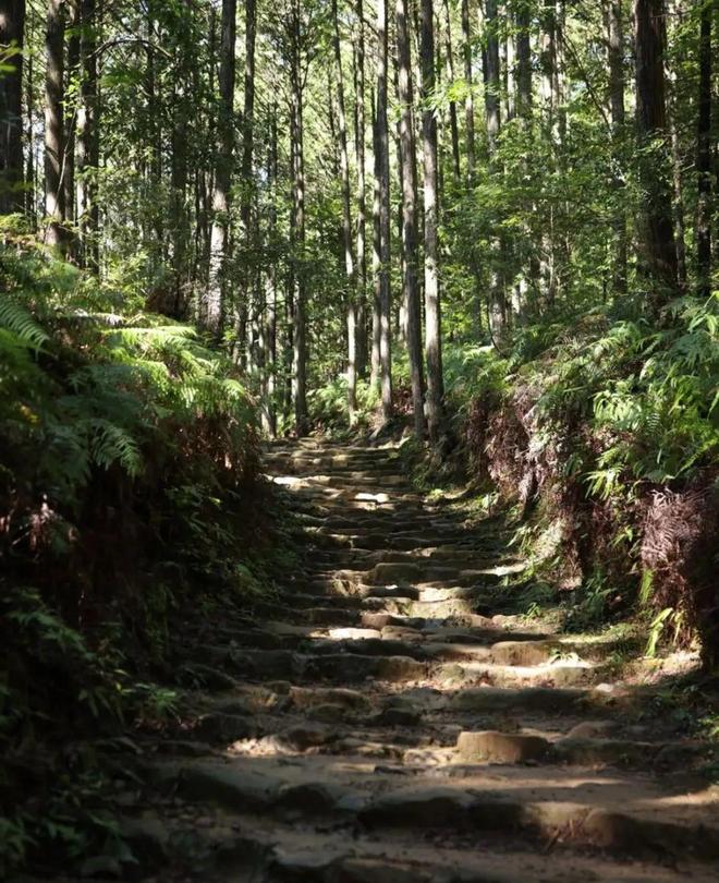 徒步千年朝圣之路寻访鉴真建造古寺在关西世界遗产之地开启心灵之旅！(图14)