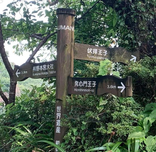 徒步千年朝圣之路寻访鉴真建造古寺在关西世界遗产之地开启心灵之旅！(图17)