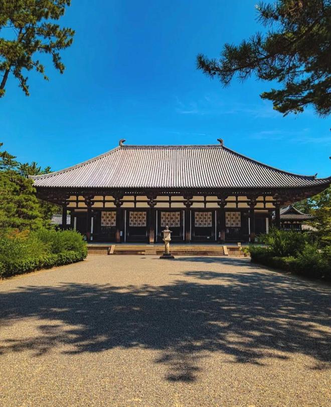 徒步千年朝圣之路寻访鉴真建造古寺在关西世界遗产之地开启心灵之旅！(图24)