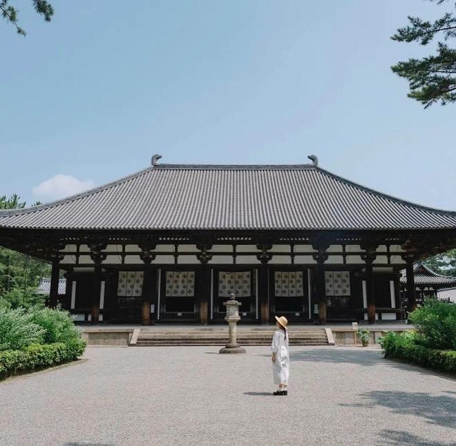 徒步千年朝圣之路寻访鉴真建造古寺在关西世界遗产之地开启心灵之旅！(图28)