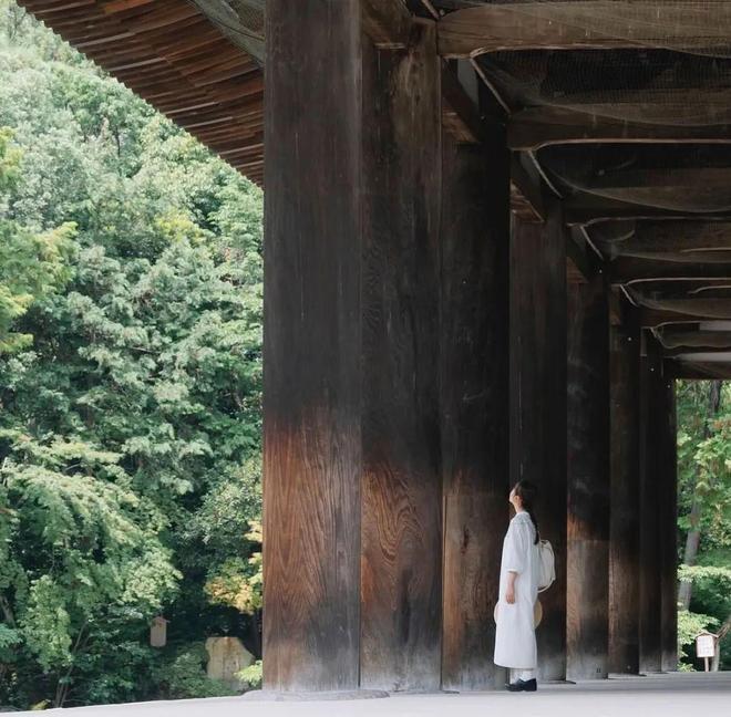 徒步千年朝圣之路寻访鉴真建造古寺在关西世界遗产之地开启心灵之旅！(图27)