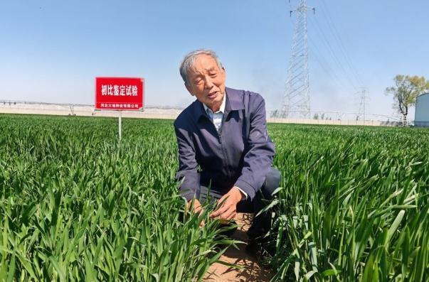 开放进行时代表委员热议深化国际农业合作加快建设农业强国(图13)